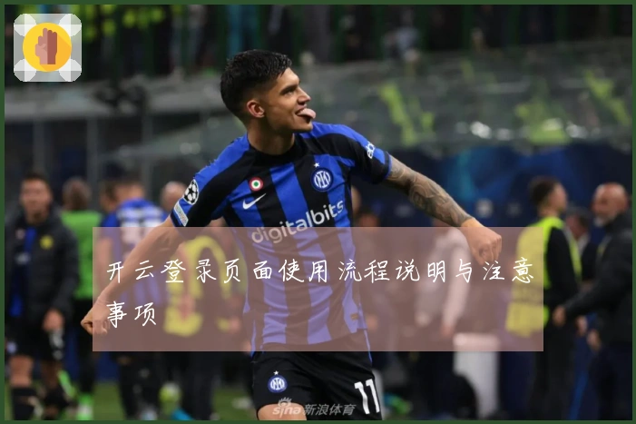 开云登录页面使用流程说明与注意事项
