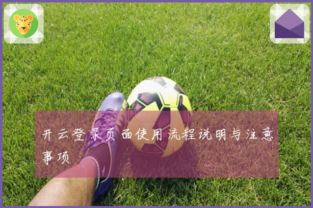 开云登录页面使用流程说明与注意事项